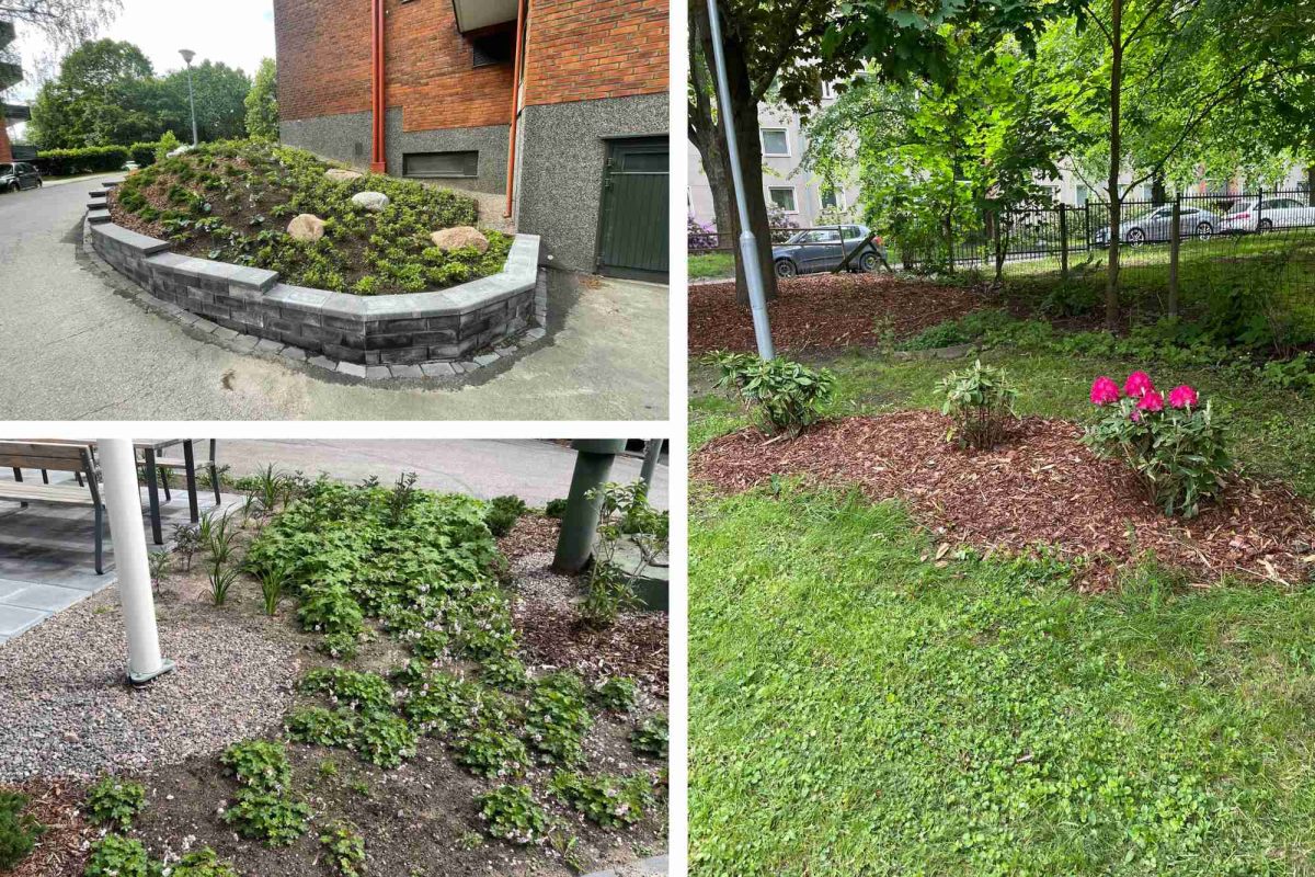 Kuvakollaasi pihan istutuksista.
